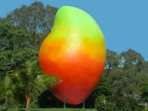 bowen big mango